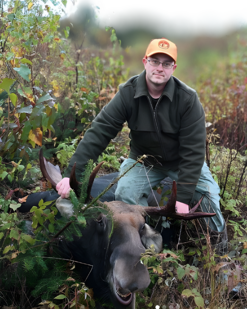 Moose calling in Zone 4