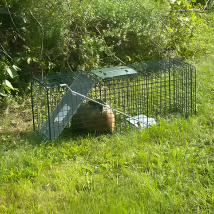Professional nuisance wildlife removal Maine equipment and field setup by Thibodeau Outdoor Adventures