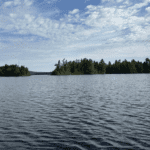 Family & Beginner Guided Canoe Fishing
