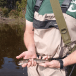 Kennebec Valley Rivers Guided Fly Fishing