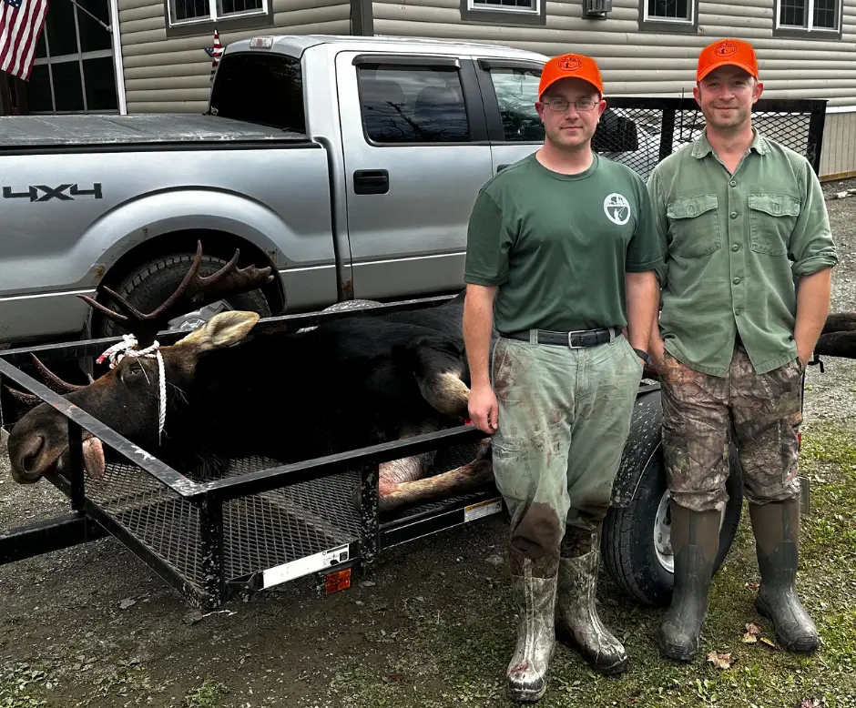 Thibodeau guides with a bull moose taken on a Zone 4 remote camp hunt