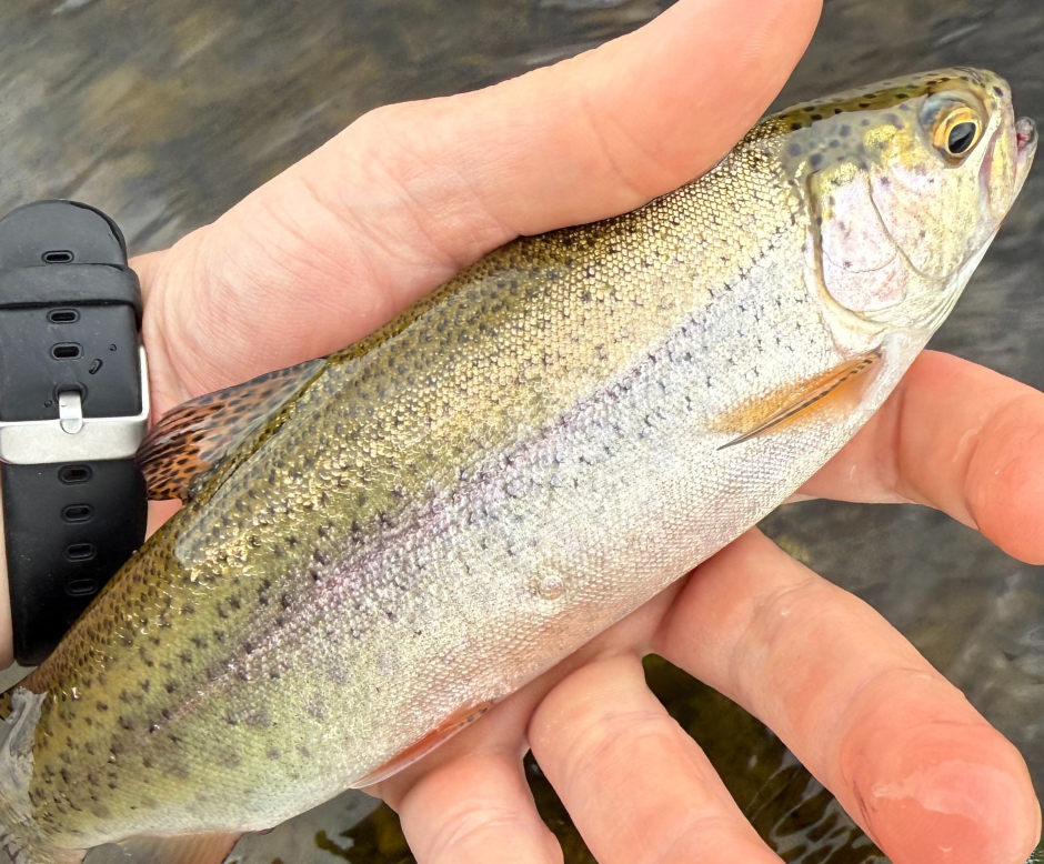 River Float Fishing Header Maine Guide 1