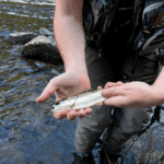 The Trout & Salmon Float