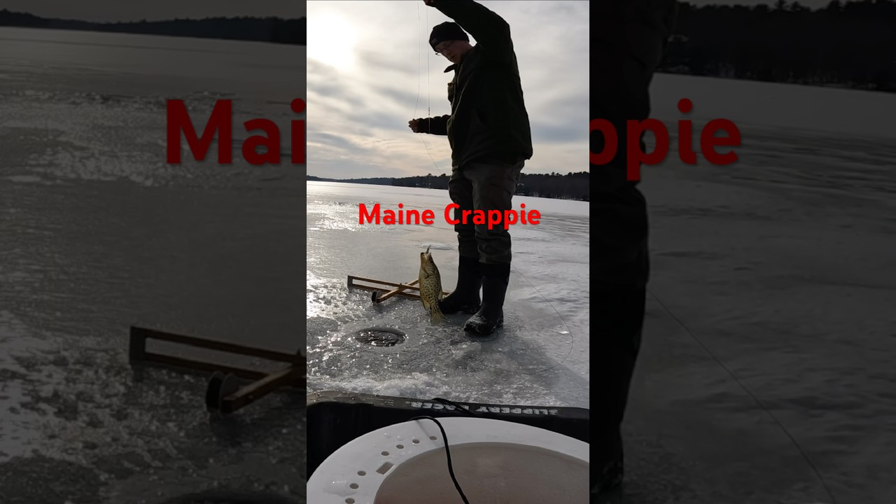 Catching a crappie through the ice