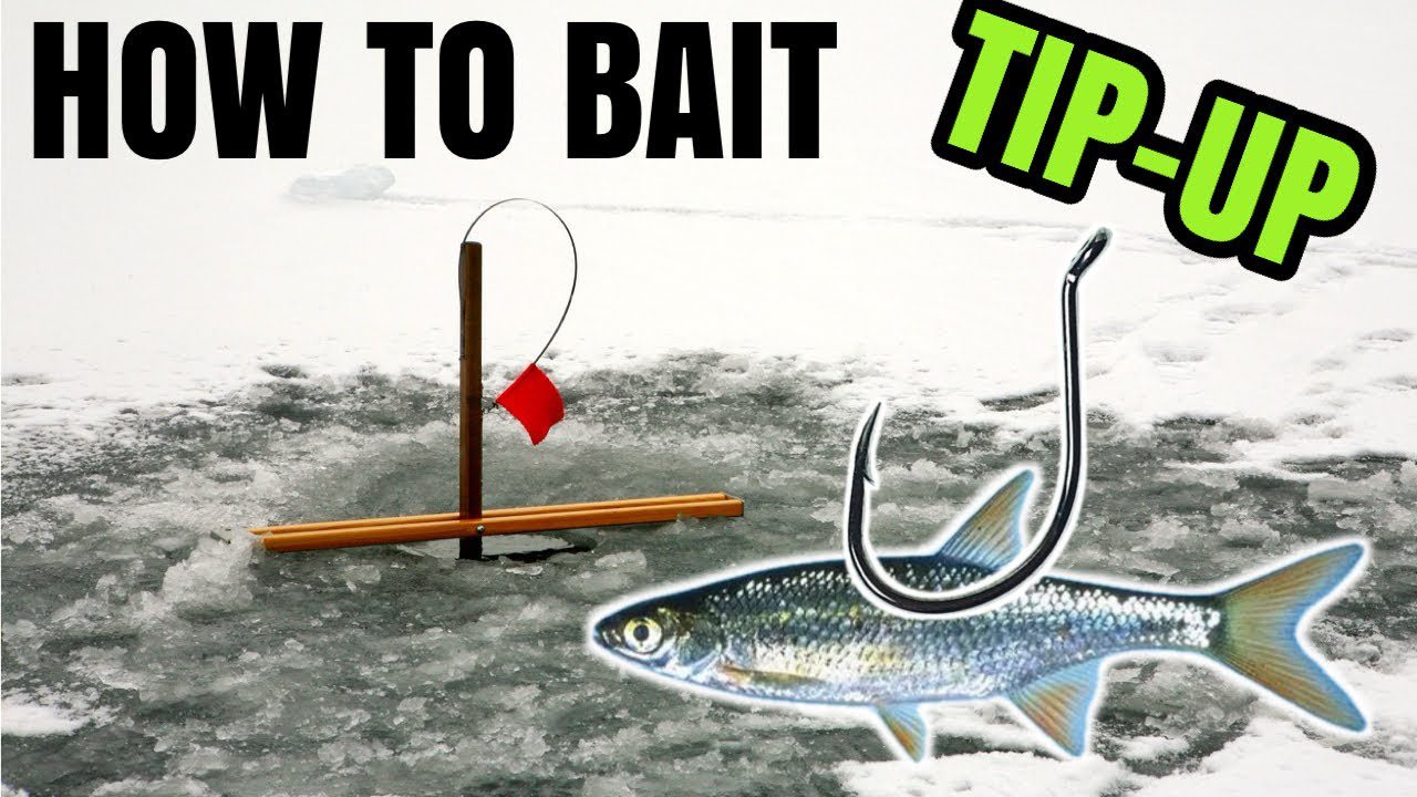Ice Fishing 101: The Best Ways to Bait Your Trap Hooks