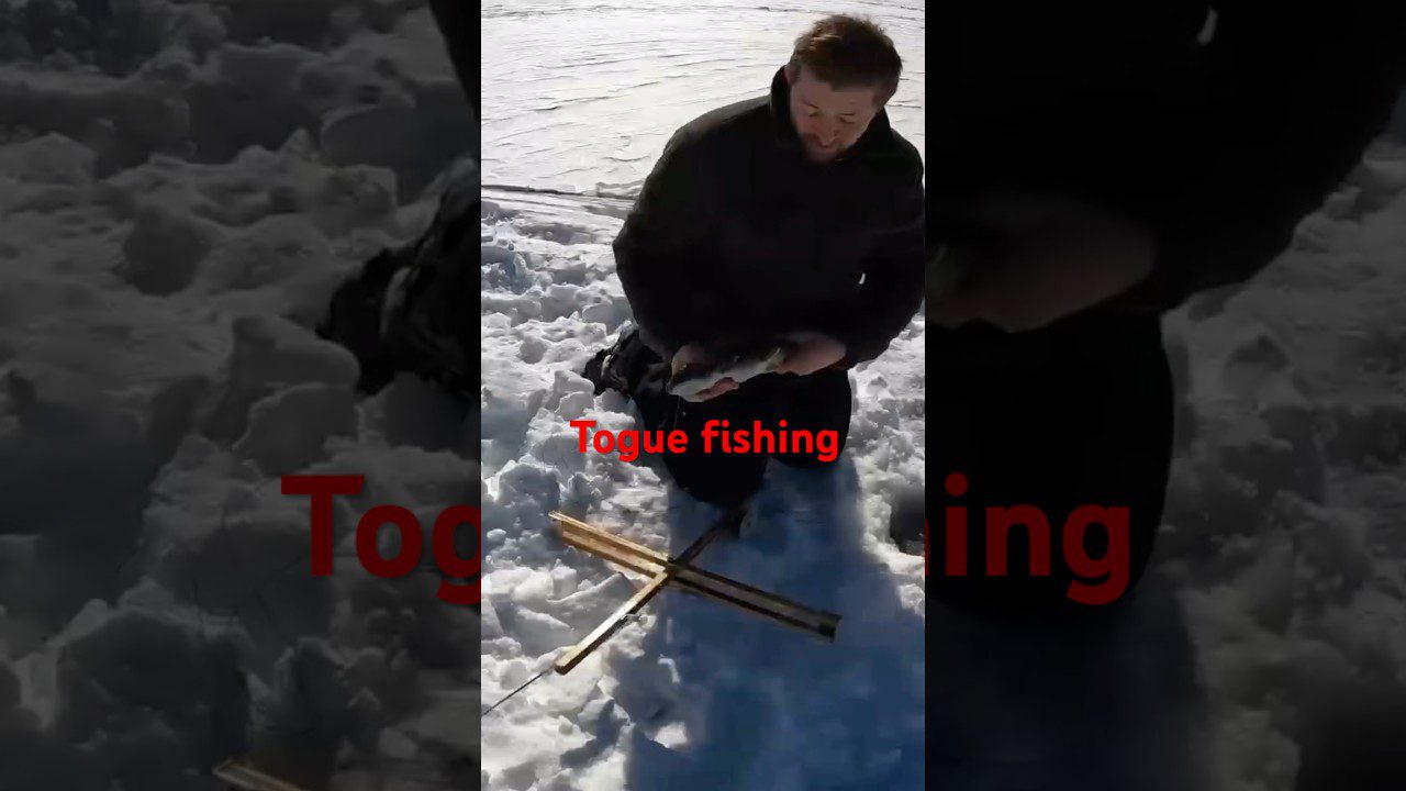 The Unmistakable Thrill of Ice Fishing for Togue in Maine