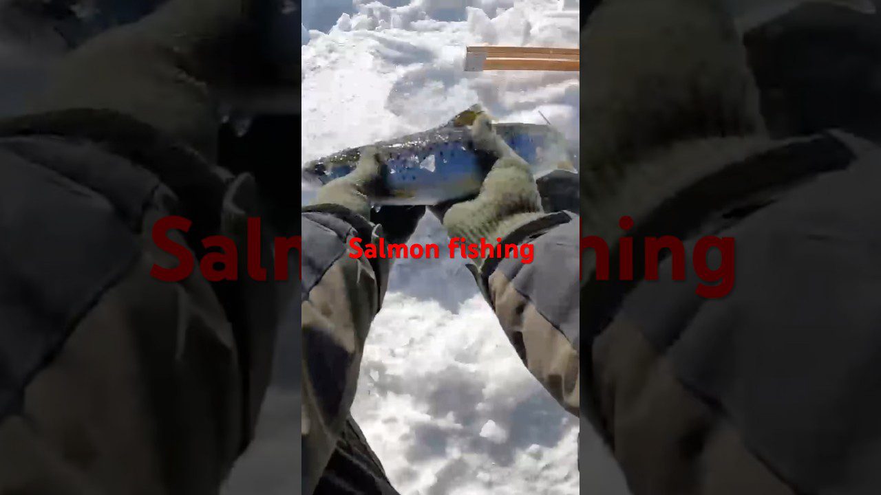 The Unforgettable Thrill of Ice Fishing for Salmon in Maine