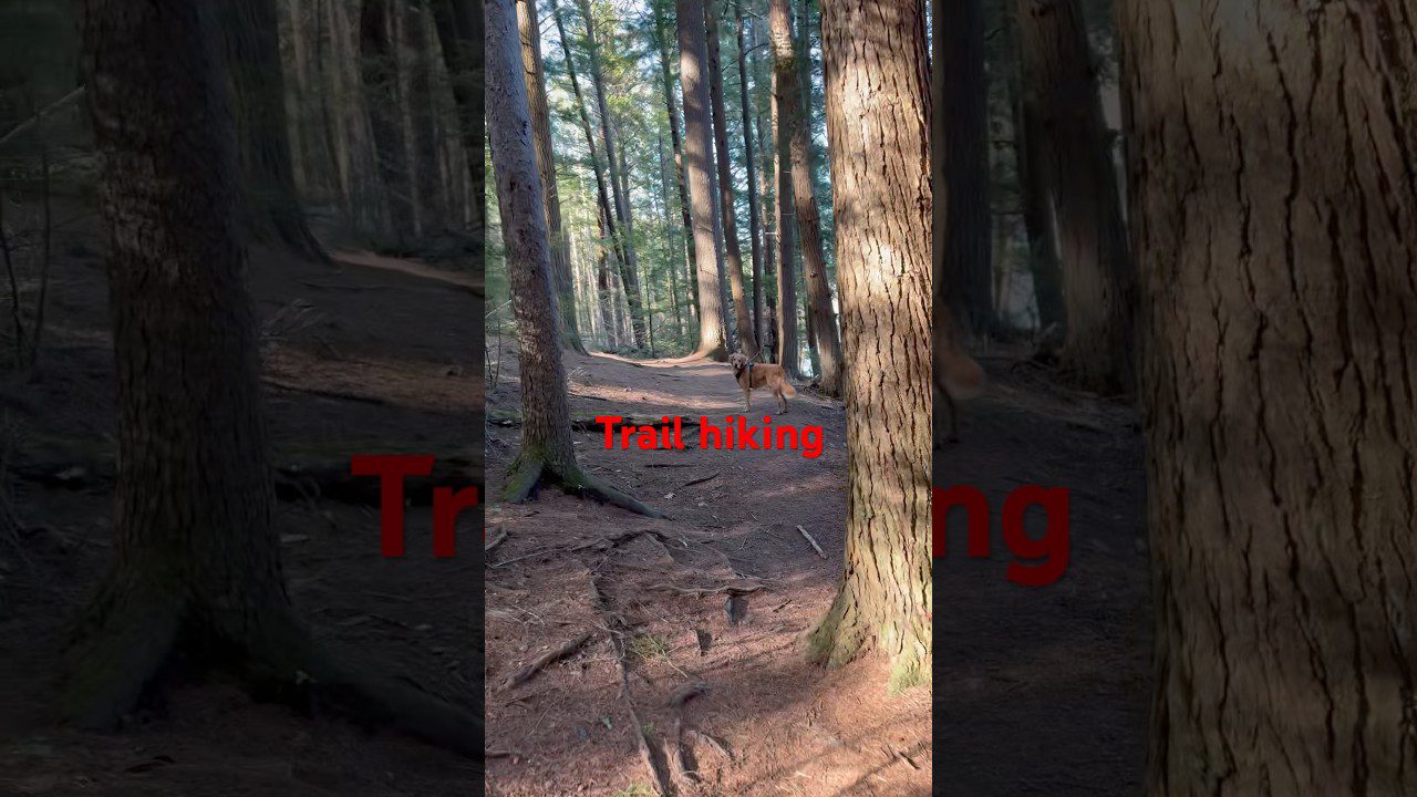 The Hidden Success of Early Season Scouting in Maine