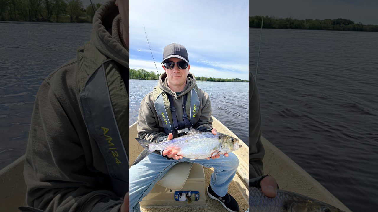 Maine Shad Fishing Gear: Rods, Line, Shad Darts and Where Fish Hold