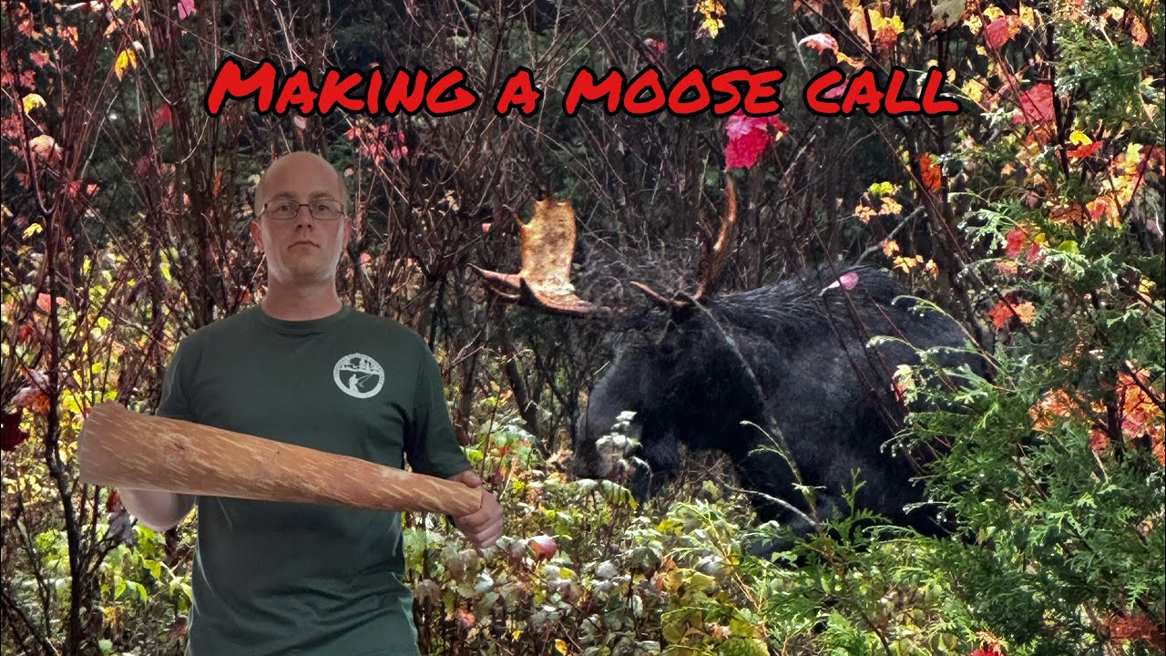 DIY Bushcraft: How to Make a Moose Call from Birch Bark