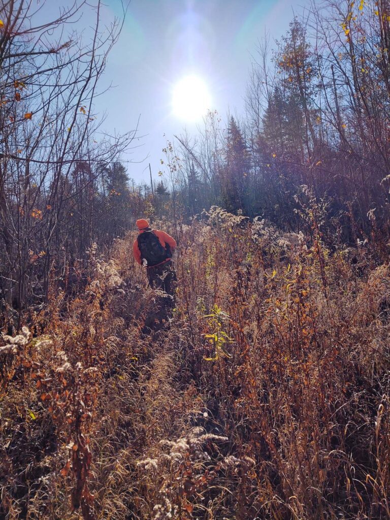 A hunter working autumn cover in Maine