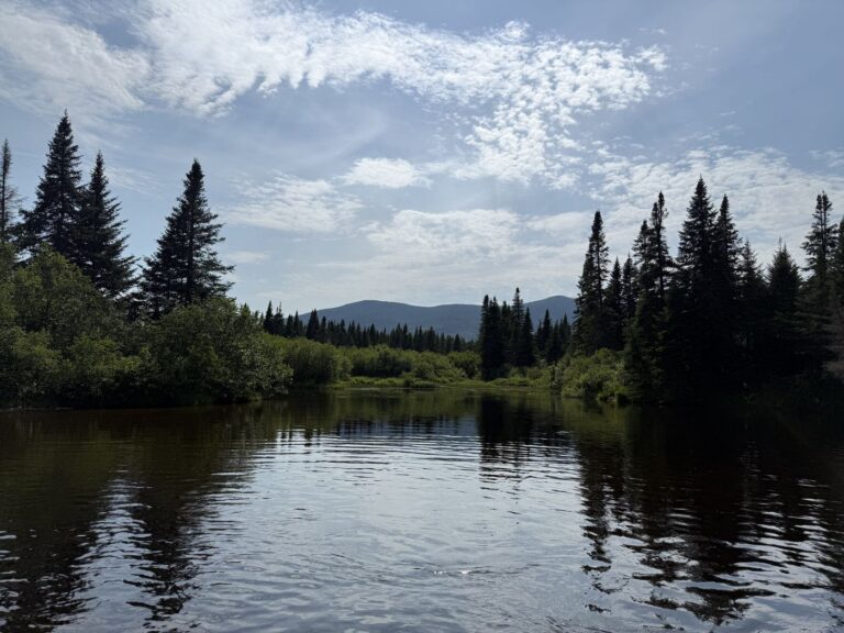 A beaver flowage below the mountains in Maine