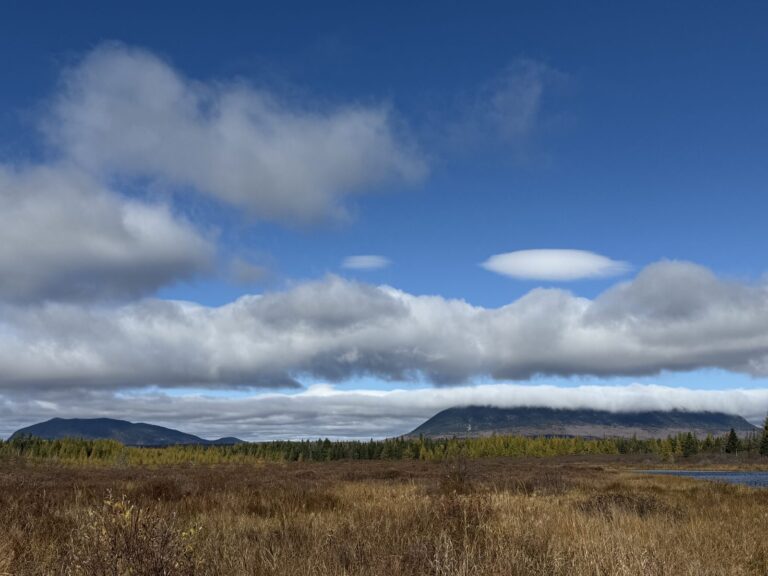 An open bog below the mountains in the Maine north woods