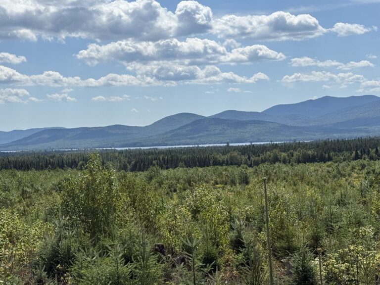 Open bog and mountain country in the Maine north woods