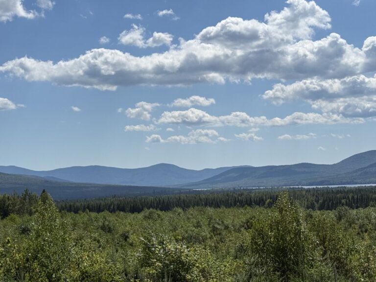 A remote Maine bog below distant mountains