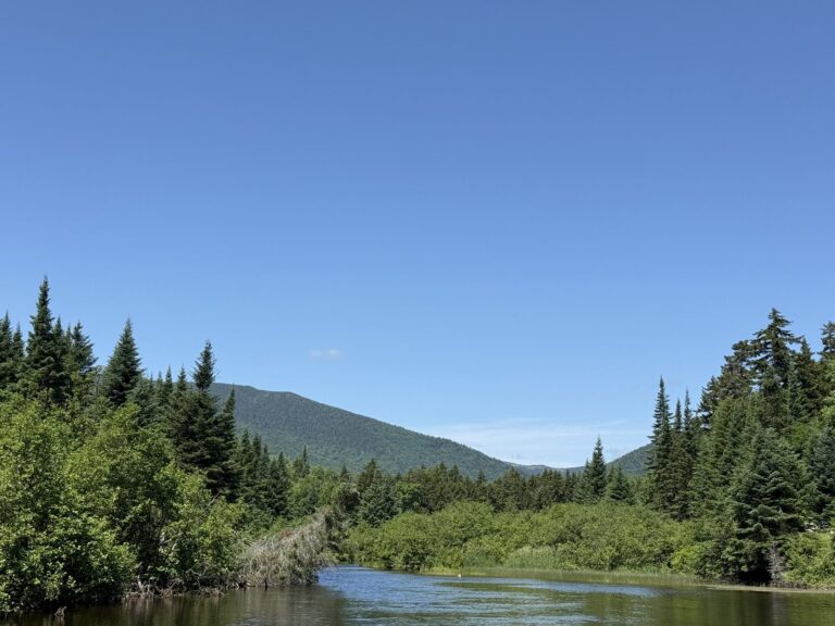 A clear Maine stream running below the western mountains in summer
