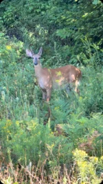 Thibodeau Outdoor Adventures on Instagram