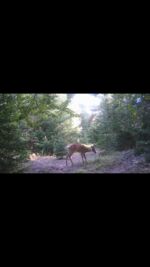 Thibodeau Outdoor Adventures on Instagram