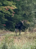 Thibodeau Outdoor Adventures on Instagram