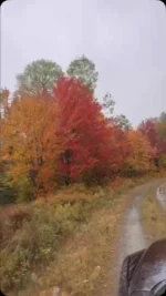 Thibodeau Outdoor Adventures on Instagram